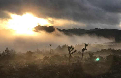 Joshua Tree Highlands House | Moonlight Mesa House: Family-Friendly Retreat with Pool