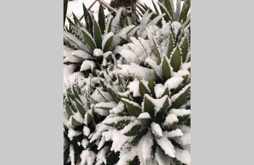 Joshua Tree Highlands House | Moonlight Mesa House: Family-Friendly Retreat with Pool