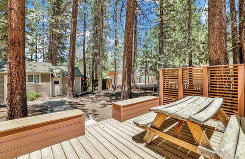 Summit Estates Cabin | Delightful Moonridge R n R - Cozy Central Chalet Retreat