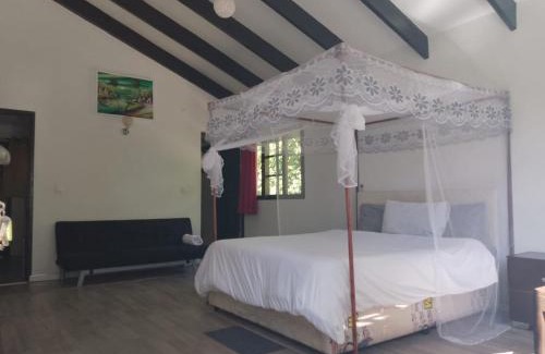 Santa Maria Other | Top-Rated Moony’s Chalets & Camping with Ocean Views
