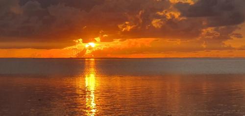 Hauru Apartment | Relax at MOOREA - Tropical Nest with Private Beach Access