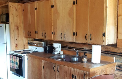 Condon Cabin | Cozy Moose Paddle Cabin Nestled Among the Pines
