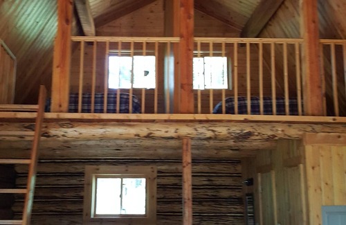 Condon Cabin | Cozy Moose Paddle Cabin Nestled Among the Pines