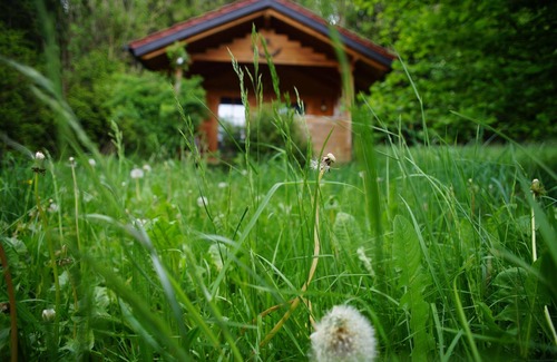 Unterallgau Apartment | Experience Apartment Moosmühle Allgäu with Ocean Views