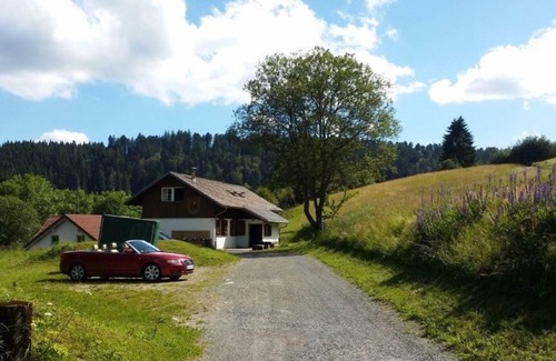 Todtmoos Apartment | Moosybärhütte: Perfect Group Retreat for 31 Guests