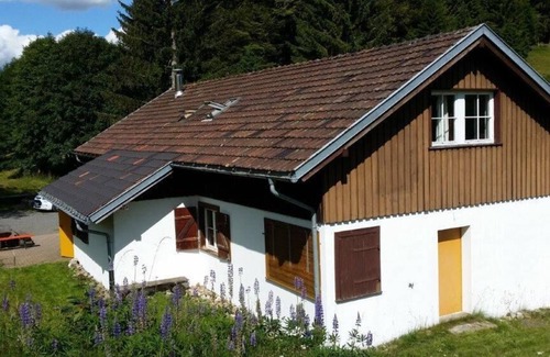 Todtmoos Apartment | Moosybärhütte: Perfect Group Retreat for 31 Guests