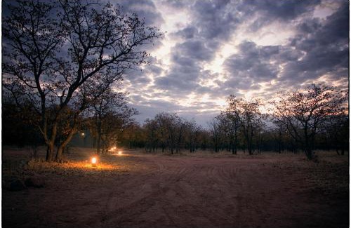 Weipe Cabin | Inviting Mopane Bush Lodge: 4-Star Stay with Ocean Views