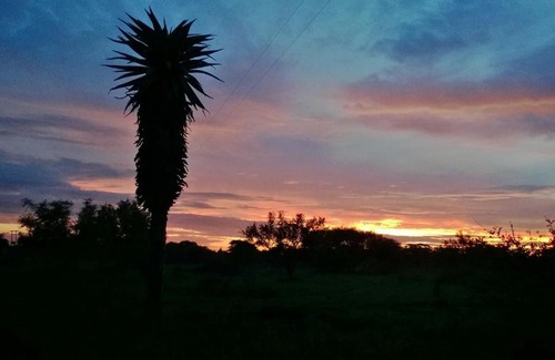Nietverdiend Bed & Breakfast | Cozy MOPIPI B&B: Pet-Friendly Retreat with Kitchen Access