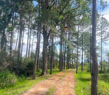 Pinheira Bed & Breakfast | Budget-Friendly Morada Fênix: Child-Friendly with Kitchen