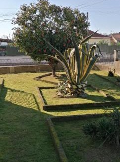 Santa Comba Dao House | Highly Rated Moradia Santa Comba: Family-Friendly Retreat