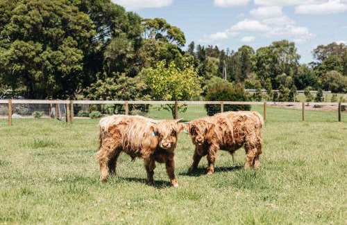 Berry House | Discover Moraea Farm in Berry - A Pet-Friendly Retreat