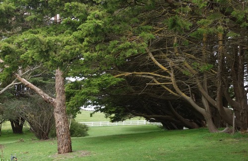 Cape Jervis House | Experience Morella Farm Stay - Unique Pet-Friendly Retreat