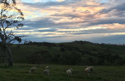 Cape Jervis House | Experience Morella Farm Stay - Unique Pet-Friendly Retreat