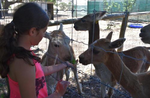 Silverton House | Pet-Friendly Morella Farmstay: Perfect for Family Getaways