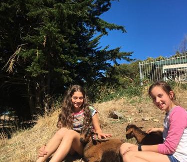 Silverton House | Pet-Friendly Morella Farmstay: Perfect for Family Getaways
