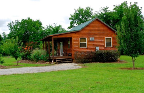 Bonnerdale Cabin | Inviting Morningstar Cabin on Caddo River with Great Amenities