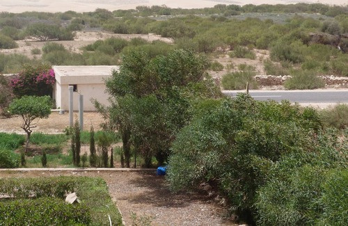 Moulay Bouzarqtoune House | Moroccan country house with pool and garden near the sea near Essaouira (30km)