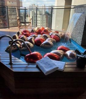 Vila Suzana Apartment | Indulgent Morumbi Spa Apartment with Private Pool & Sauna