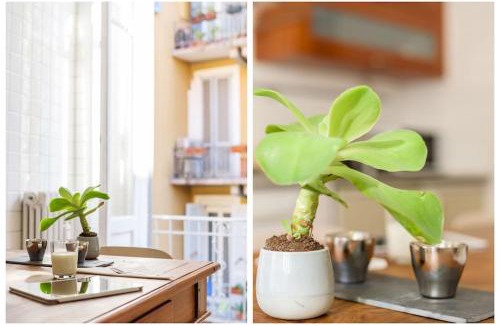 San Marco Apartment | Discover Moscova Flexyrent Apartment: Family-Friendly Comfort
