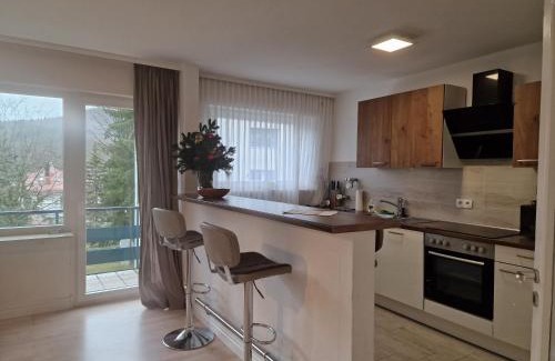 Baden-Baden Apartment | Discover the Moscow Areal Suite: Rated 9.2 by Guests