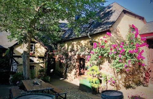 Kinheim Apartment | Historic Ambience Awaits at James Cook Apartment