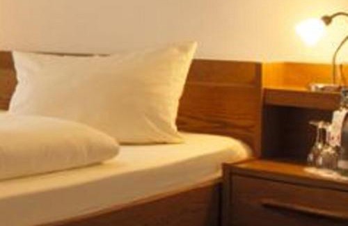 Ellenz Hotel | Pet-Friendly Retreat at Moselstern Hotel Fuhrmann