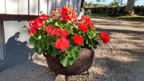 Emmaboda House | Discover Moshults Vandrarhem: Pet-Friendly Retreat Awaits