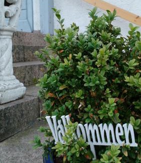 Emmaboda House | Discover Moshults Vandrarhem: Pet-Friendly Retreat Awaits