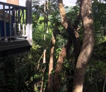 Mossman Bed & Breakfast | Guest Rated 10/10: Mossman Gorge Bed and Breakfast with Pool