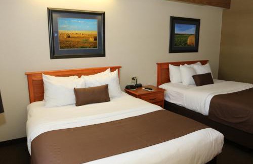 Minot Hotel | Budget-Friendly Motel 6 in Minot, ND with Pool & Pets