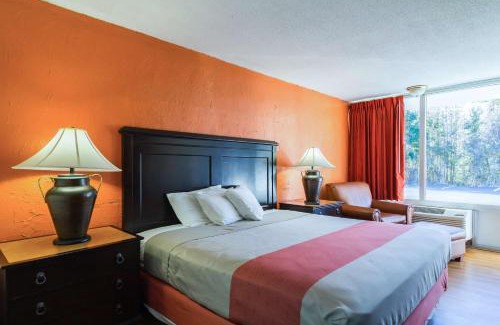 Townsend Hotel | Convenient Motel 6 in Townsend, GA with Pet-Friendly Amenities