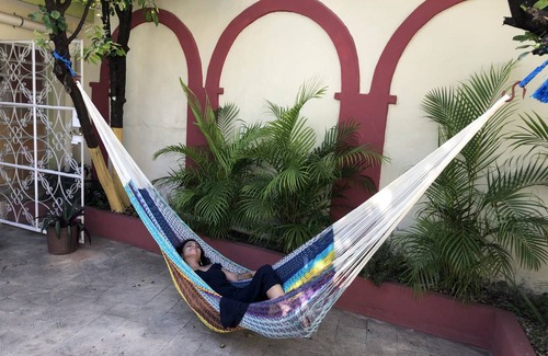 Centro House | Budget-Friendly Motel with Pool & Kitchen - Rated 10/10