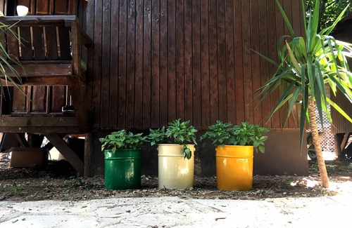 Olympos House | Pet-Friendly Motel for Up to 8 Guests with Breakfast