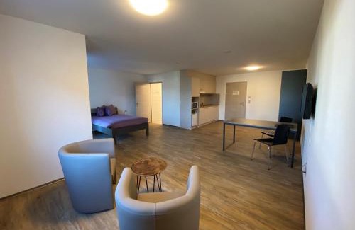Emmen Apartment | Pet-Friendly Stay at Motel & Aparthotel Brüggli, Rated 8.7