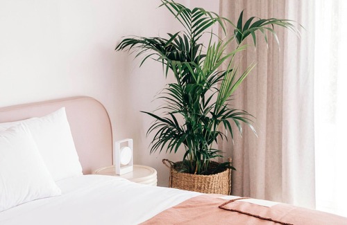 Mollymook Hotel | Discover Motel Molly: Guest Rated 9.4 with Pool & Dining
