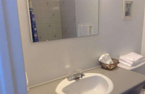 Saint-Thomas Hotel | Budget-Friendly Stay at Motel St-Thomas - Pet Friendly!