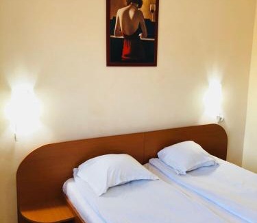 Milcoiu Hotel | Budget-Friendly Motel Topolog: Pet Friendly & Convenient Amenities