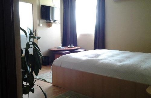 Cotmeana Hotel | Affordable Motel Traffic: Oceanfront, Pet-Friendly Stay