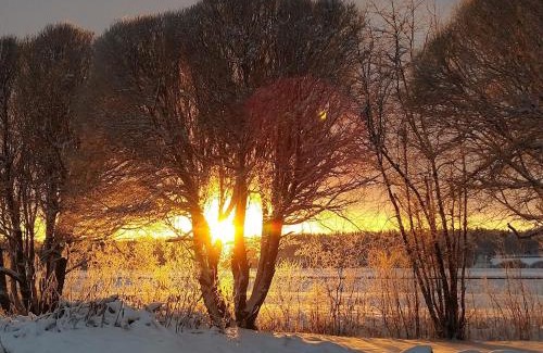 Karsamaki Hotel | Pet-Friendly Retreat at Motelli Nuttulinna with Ocean Views