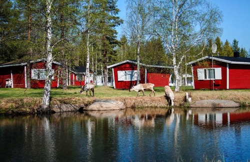 Rovaniemi Hotel | Pet-Friendly Motelli Rovaniemi: Family Comfort Awaits