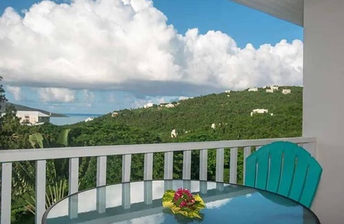 Rosendal Villa | Celebrate Mother's Day in Family-Friendly St Thomas!