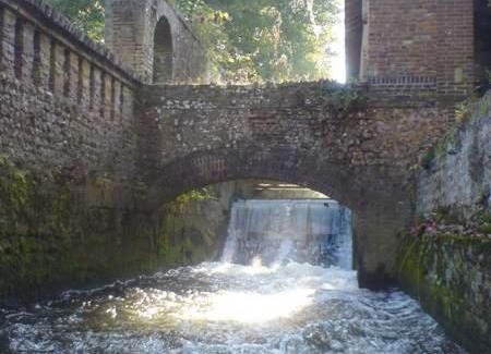 Saint-Martin-d'Ecublei House | Tranquil Moulin des Gondrillers: Pet-Friendly & Family Fun