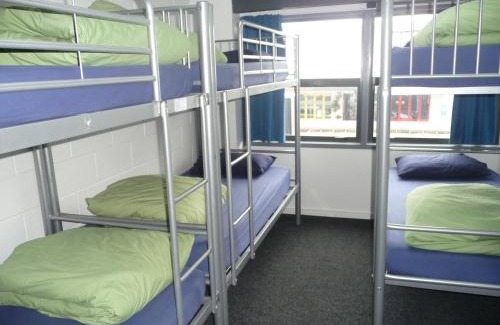 Mount Maunganui Hostel | Explore Comfort at Mount Backpackers - Pet Friendly Stay