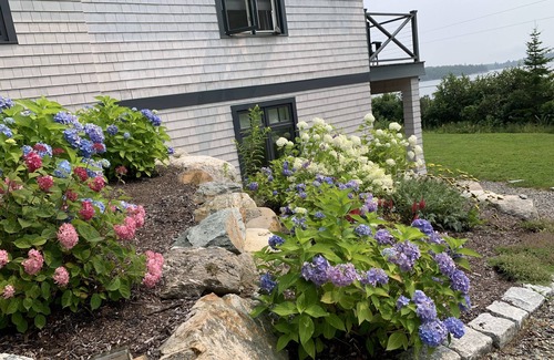 Seal Cove Apartment | Experience Mount Desert Island Waterfront near Acadia National Park