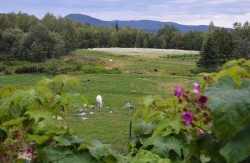 Sheffield House | Cozy Mount Harmony Farm Guest House with Ocean Views