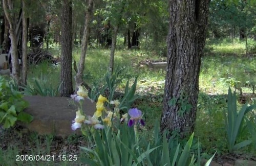 Magazine Cottage | Idyllic Mount Magazine View Cottage - Pet Friendly Retreat