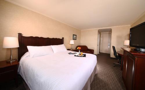 Grand Falls - Windsor Hotel | Discover Mount Peyton Resort: Pet-Friendly Getaway Awaits
