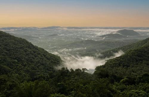 Quilandi Resort | Explore Mount Stratus Resort: Pet-Friendly & Family Fun
