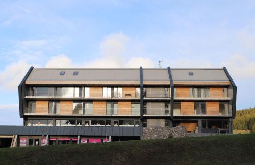 Loucna Pod Klinovcem Apartment | Inviting Mountain Apartments Klínovec Hexagon with Dining