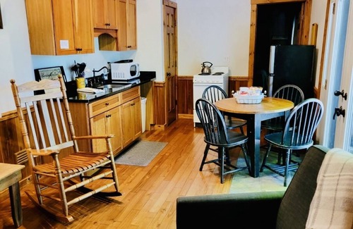Elkins Cabin | Cozy Mountain Cabin 3 with Hot Tub & Sauna Experience